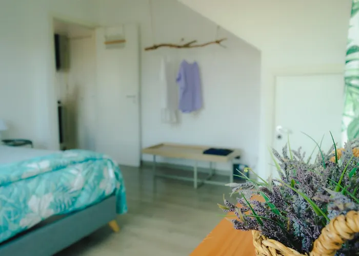 Central Apartment With Terrace Near Teatro Massimo Palermo